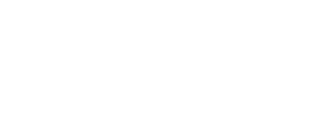Pumps Cat Pumps pumps-cat-pumps